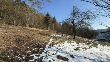 Prodej pozemku pro výstavbu rekreačního objektu 3 339 m² - Staré Město - Petrušov