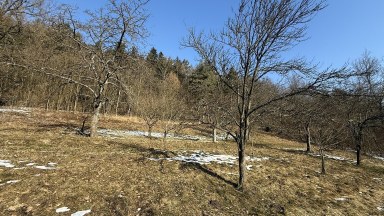 Prodej pozemku pro výstavbu rekreačního objektu 3 339 m² - Staré Město - Petrušov