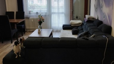 Pronájem bytu 3+1 82 m², Svitavy - Lány