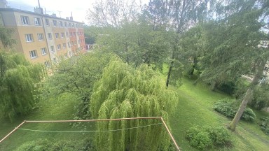 Pronájem bytu 2,5 + 1 ve Svitavách, ulice Olbrachtova